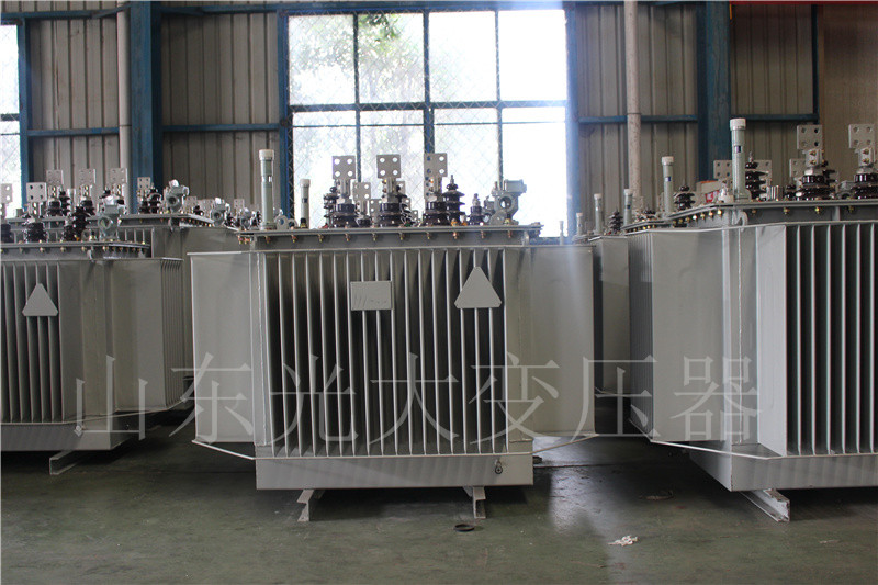南江S20-500KVA/10KV